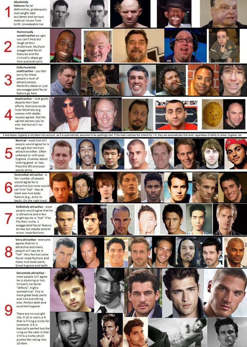 Шкала мужской красоты с форума «двач»
