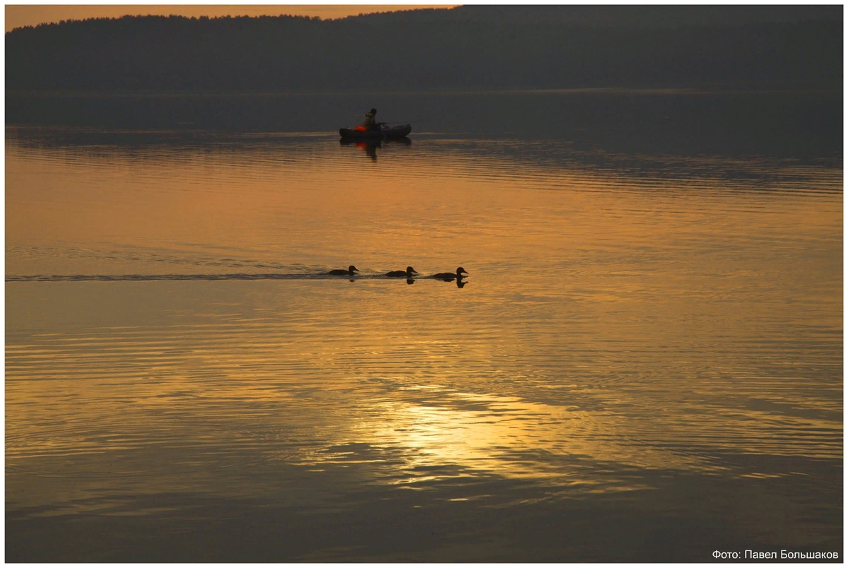 Фотография Павла Большакова