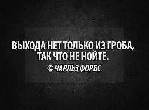 Из открытых источников Yandex