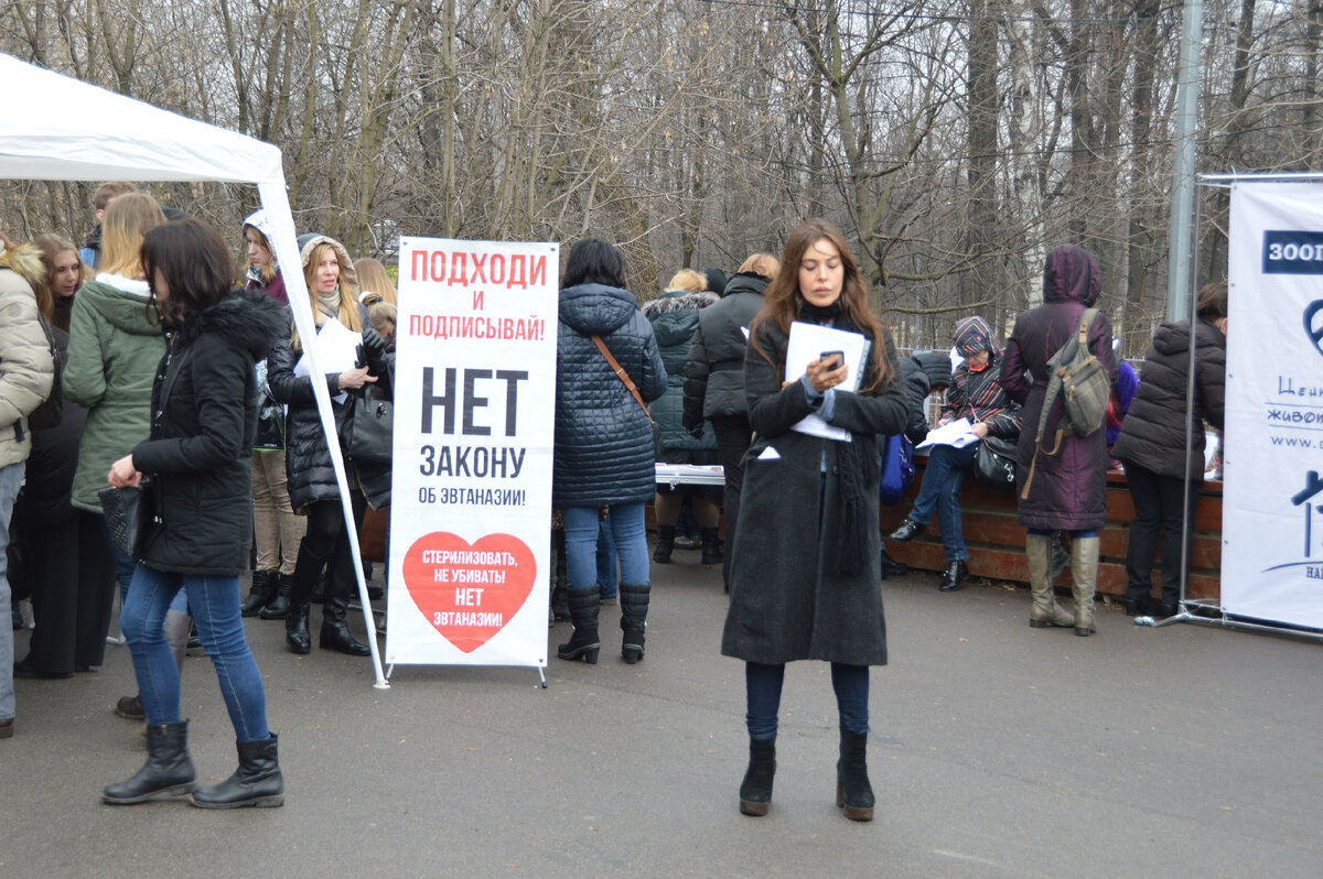 Митинг в москве 1. Зоозащитный митинг Москва. Митинги в Москве на Болотной. Протесты в Москве в августе. Митинги в Москве с погромами.