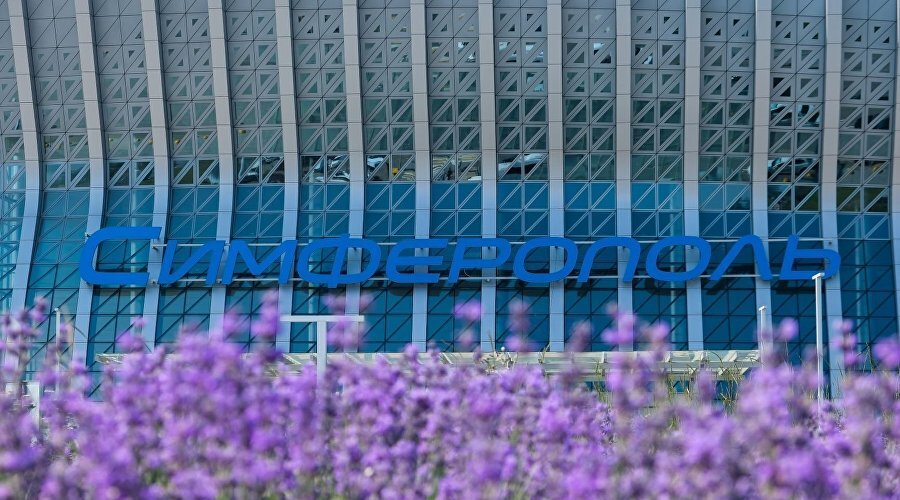 Лаванда у аэропорта Симферополь // Фото: пресс-служба аэропорта
