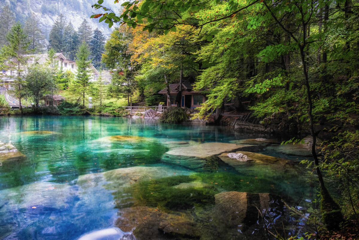 фото newlyswissed.com