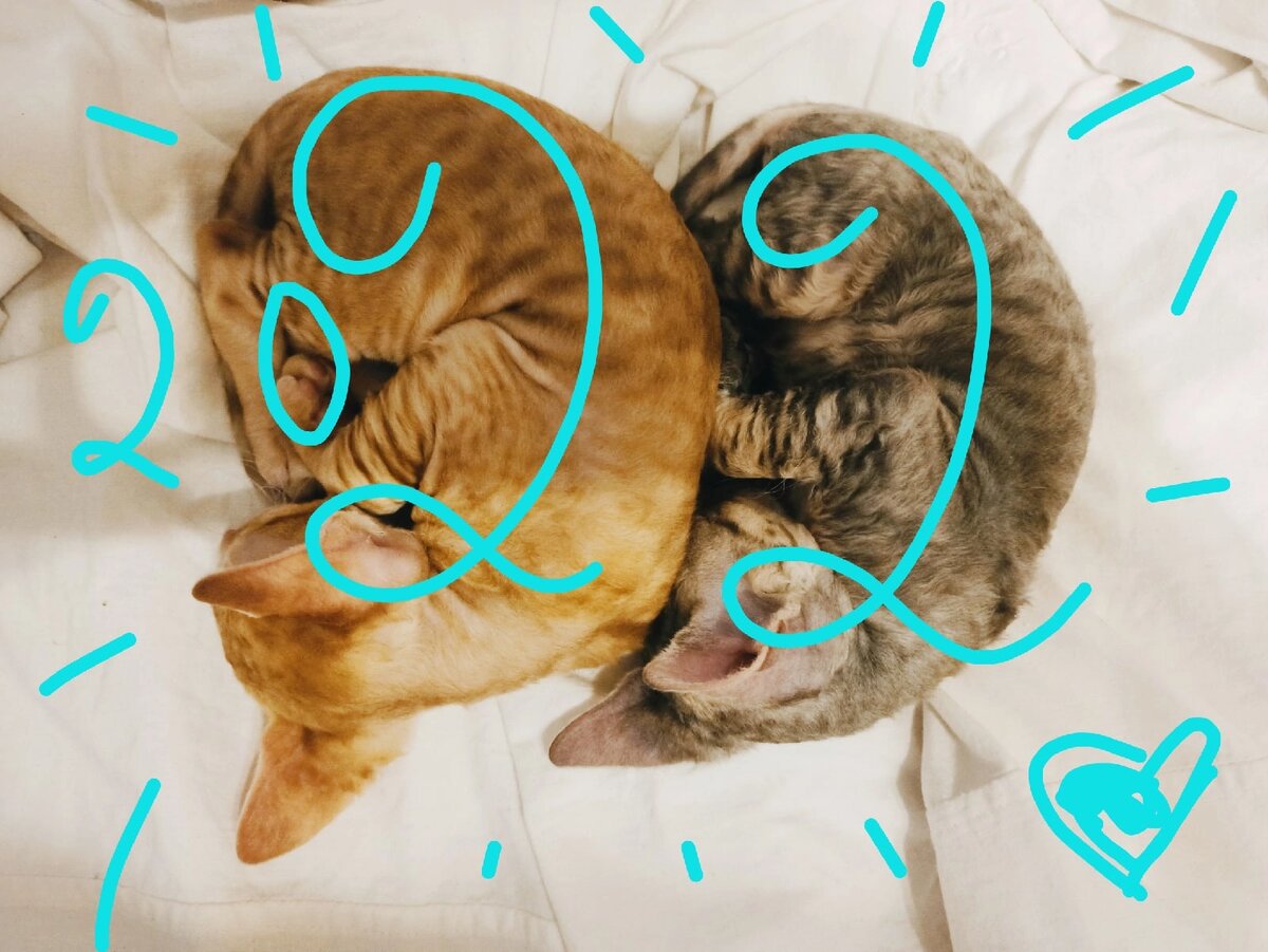 -2