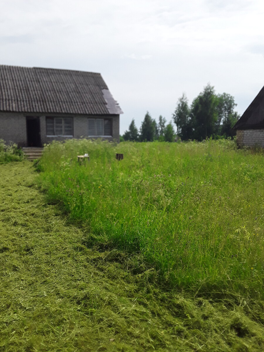 Фронт работы.