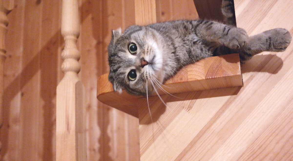 Фото из домашнего архива