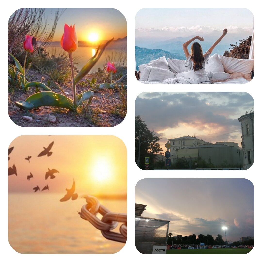 Фото для иллюстрации. Частично мои, частично из открытых источников