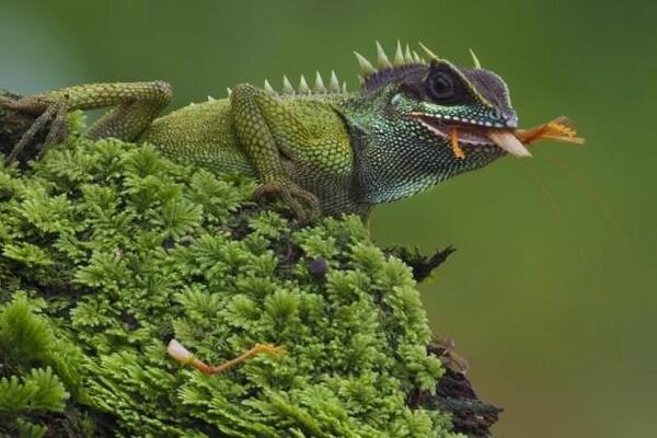 Источник фото: 1x.com