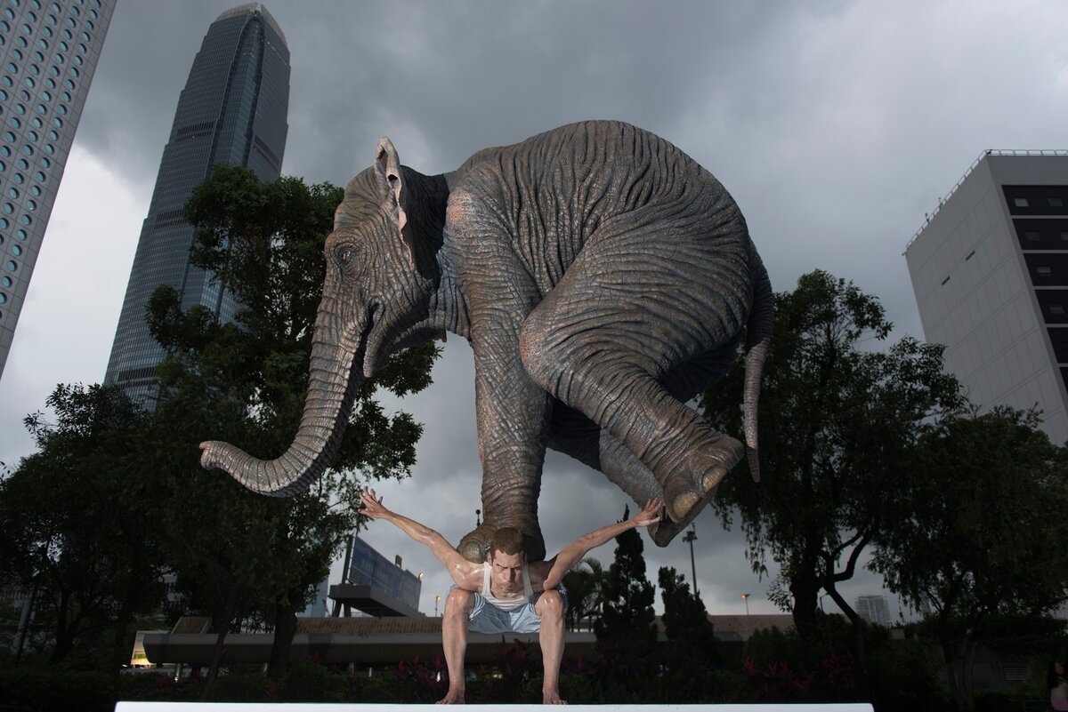 «Вся тяжесть на плечах»