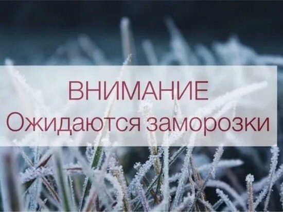     Ниже нуля: на территории ЕАО ожидаются заморозки. ФОТО: ГУ МЧС РФ по ЕАО