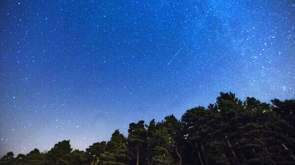   © AP Photo / Andres Kudacki