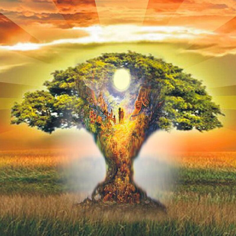 Фото из Яндекс.Картинки