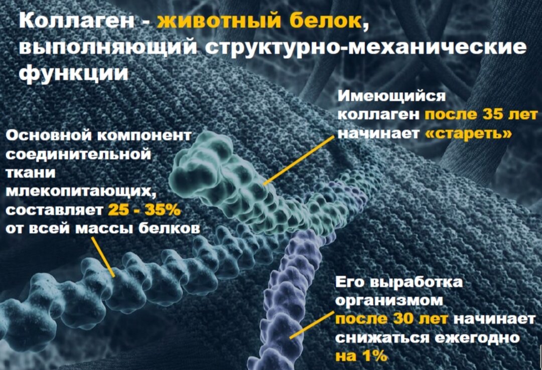 Коллаген эффективность. Коллаген в организме человека. Колаоен. Эластин в организме. Коллаген в теле человека.