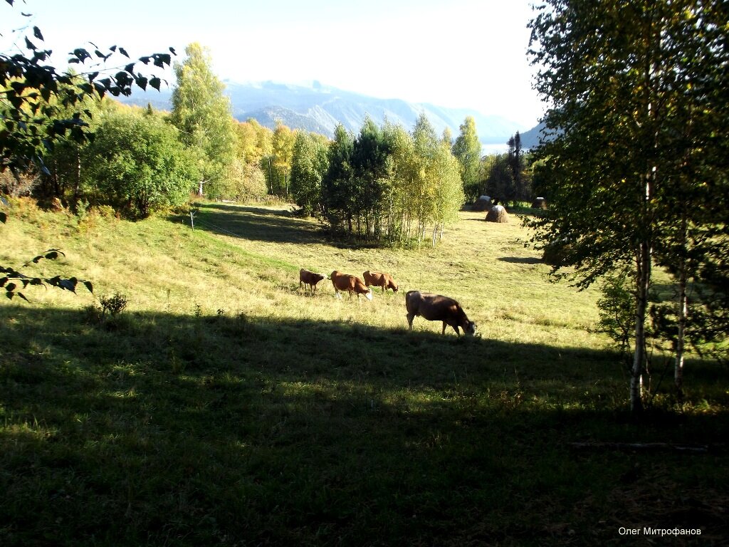 в ясный день на Яйлинской террасе