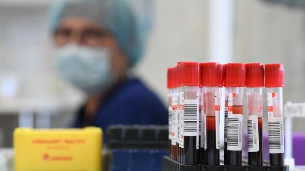   © Sputnik / Максим Блинов