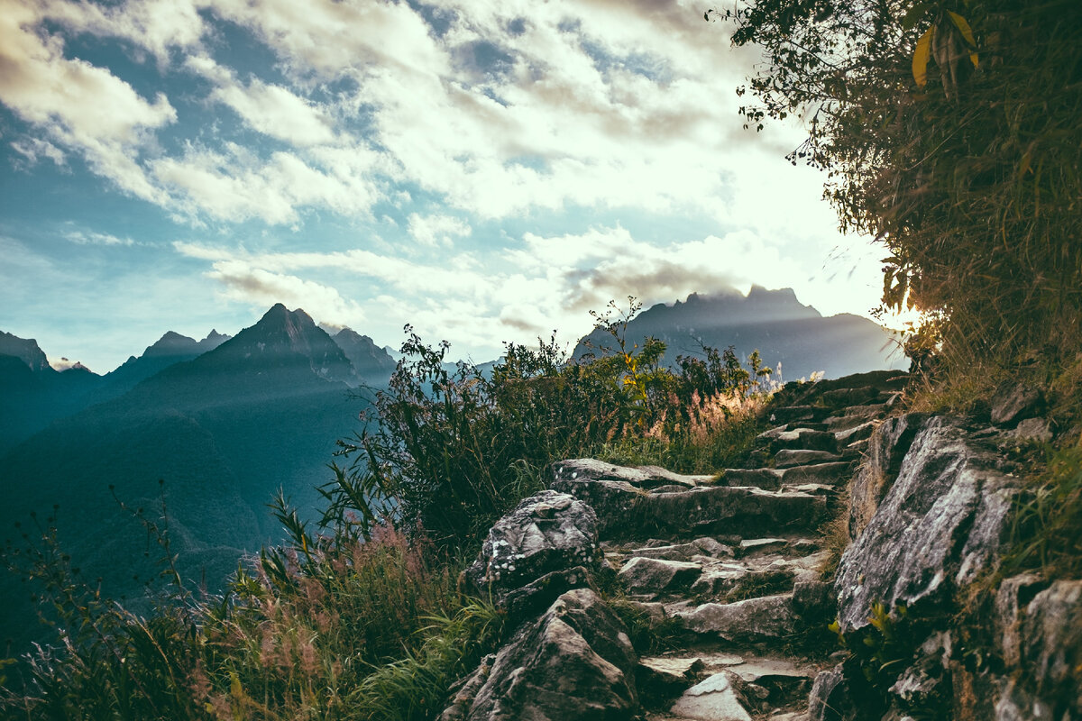Photo by Ashim D’Silva on Unsplash