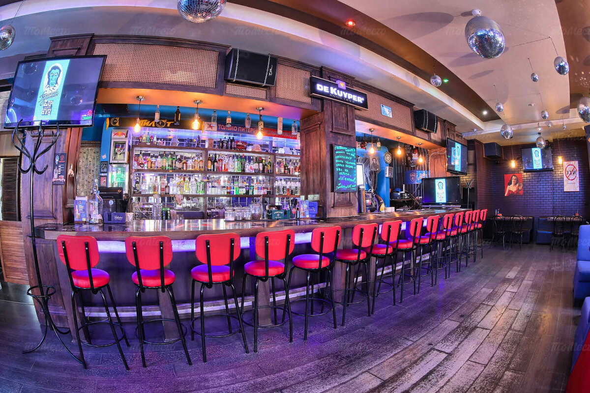 Бар Синий Пушкин на Жуковского. Фото: spushkin.com