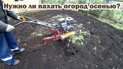 Нужно ли пахать огород осенью?