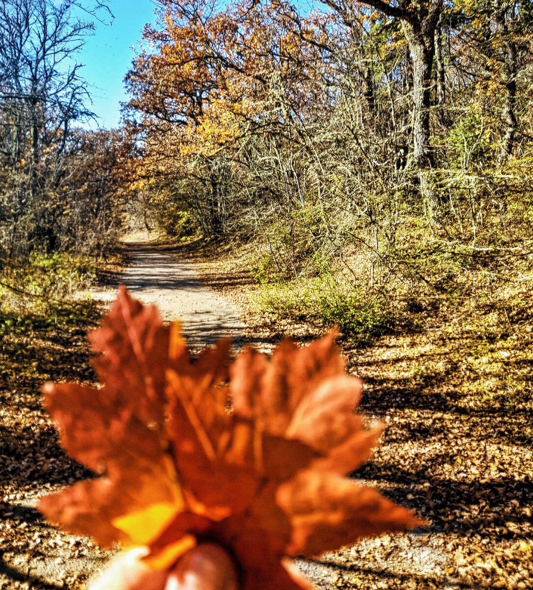 Начало пути от смотровой площадки Ласпинского перевала