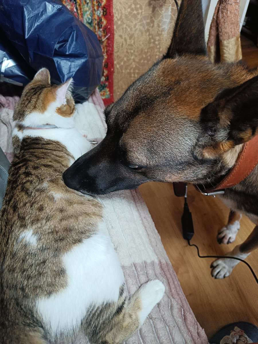 "Ну ты это, пережди малость. Поворчат на тебя и забудут."