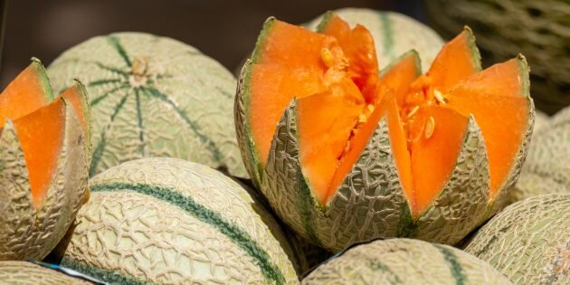 Изображение: Alexandra Smielova / Unsplash📷
