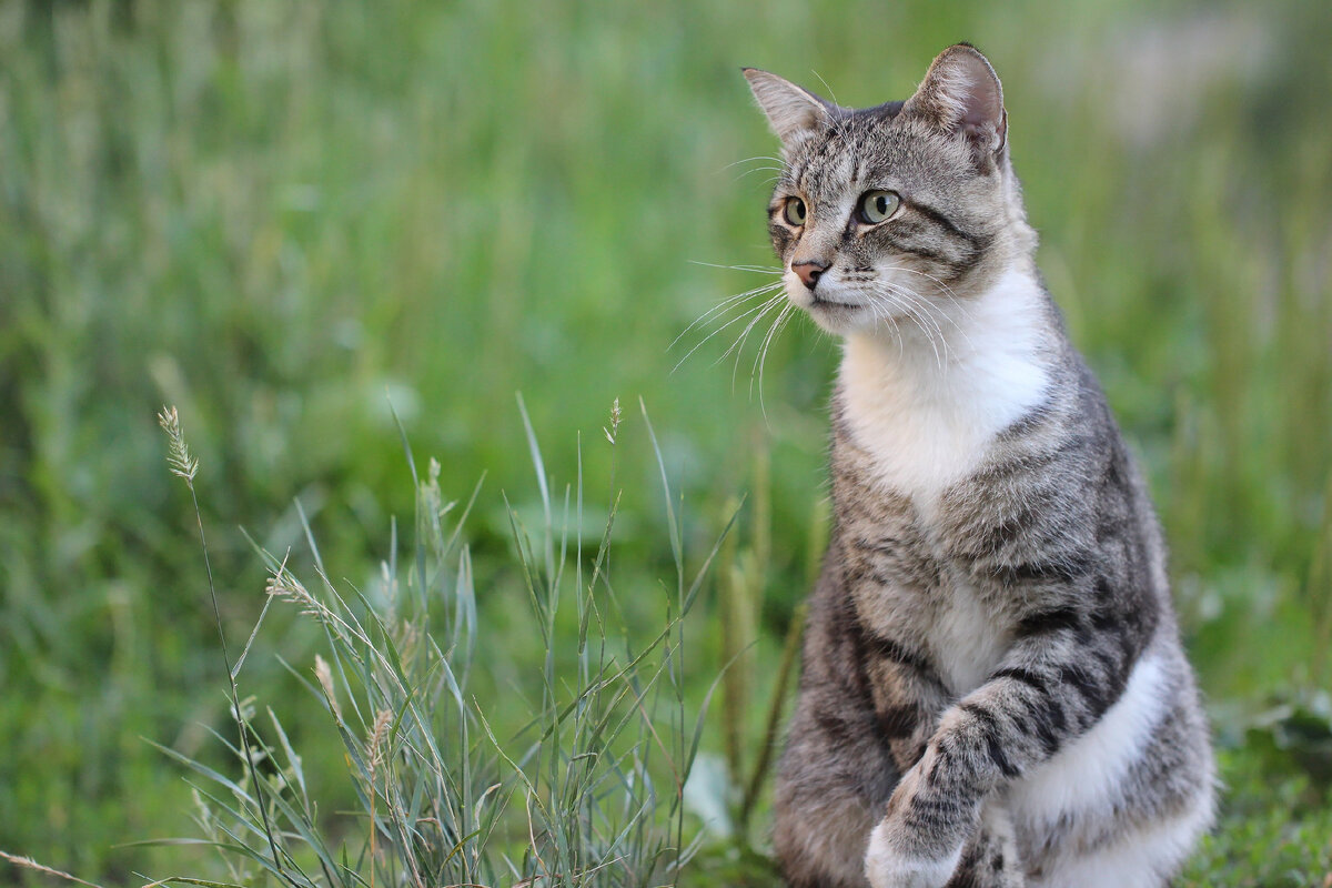 Фото из Яндекс.Картинки