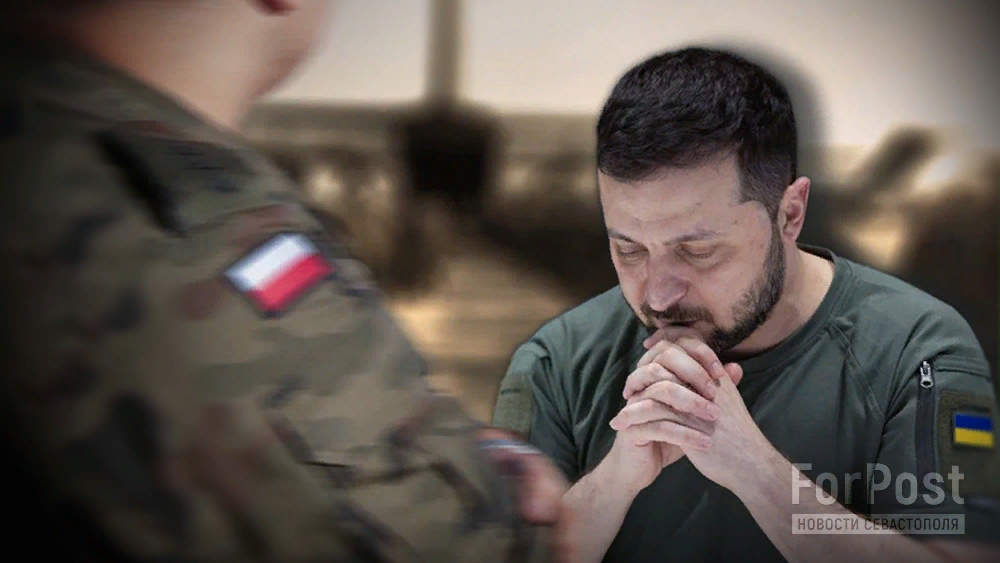 Коллаж ForPost: осталось найти повод и подготовить "столовые приборы"