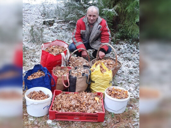     Фотографию «улова» грибник опубликовал в социальной сети. Фото: Вячеслав Царев