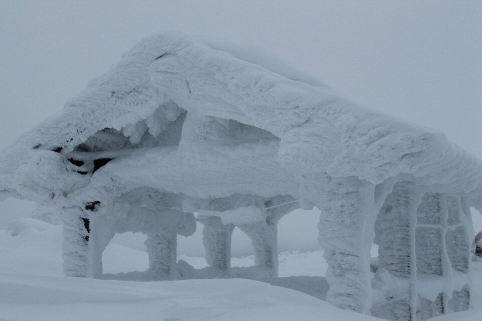     Фото: Екатерина САВЕНКО