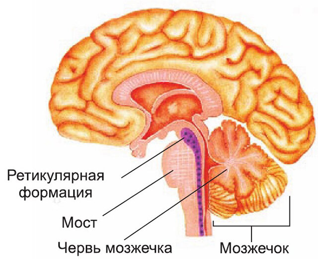 Фото взято из открытых источников. 
