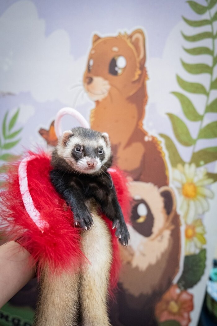 Листайте вправо, чтобы увидеть больше изображений