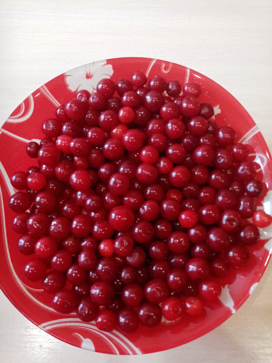 Набрала сегодня около 1 килограмма вишни