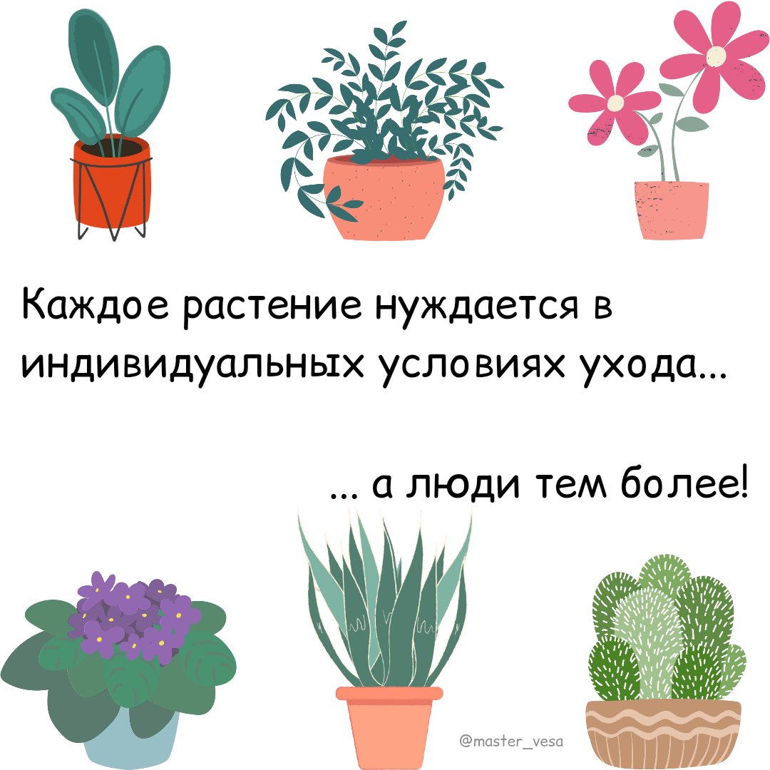 Планы питания не работают.

Не работают на долгосрочную перспективу, конечная цель - иметь всегда комфортный вес.

Питаться всегда по чужому плану - рамки, ограничения и стресс, когда отходишь от плана.

"Оль, ну ты же сама всем пишешь планы, т.е это все не нужно?"

Нужно, это пример, как питание может быть организовано.
Как правильно сочетать, чтобы не голодать и снижать вес. 

В конечном итоге вы под моим сопровождением формируете свою систему питания, которая основана на ваших потребностях, с учётом ваших предпочтений, для конкретно вашей ситуации.

Если все будет так, то вы точно удержите вес после снижения.

Действительно работает индивидуальный подход.