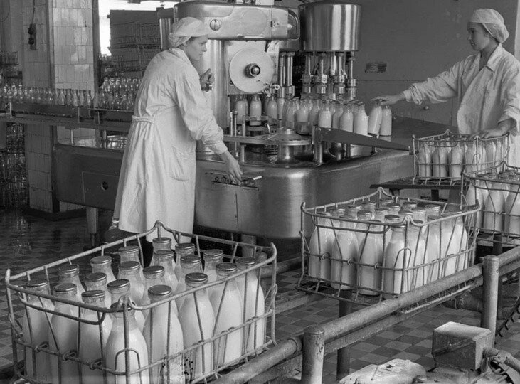 Молочный завод в СССР. Фото: открытый источник.