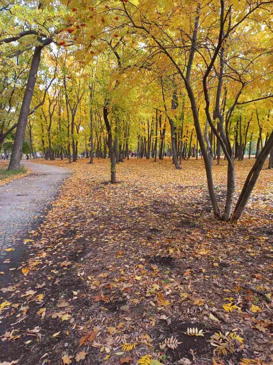 Фото автора.