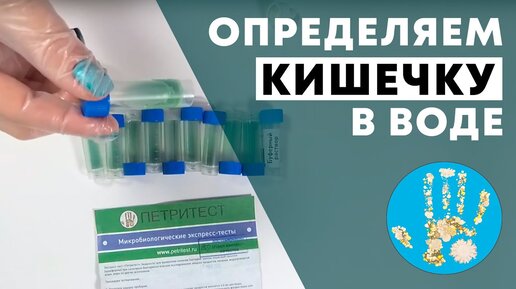 Как проверить водопроводную воду на кишечную палочку?