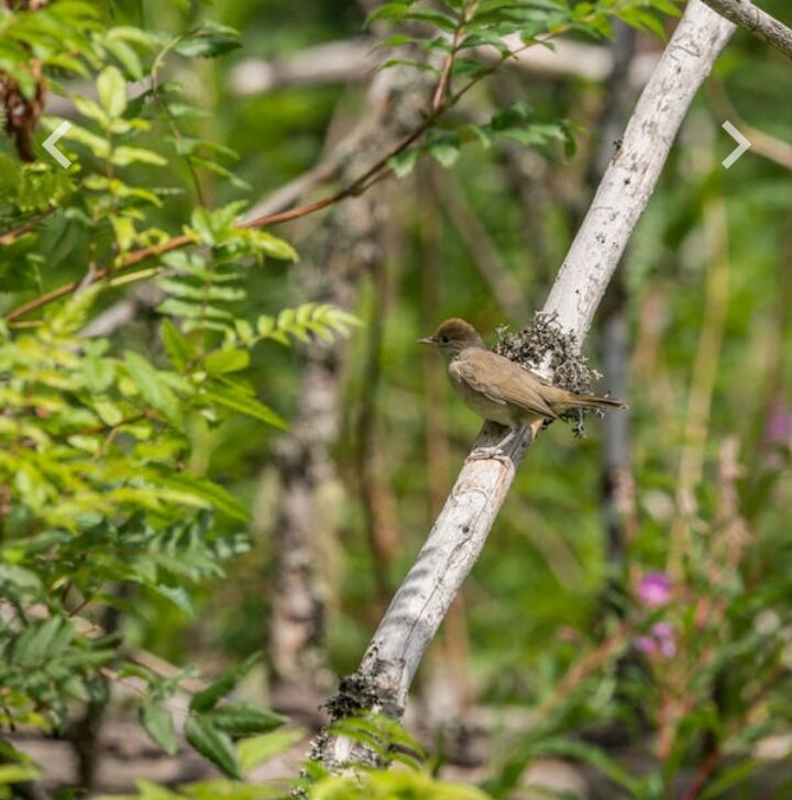 Источник: pexels.com