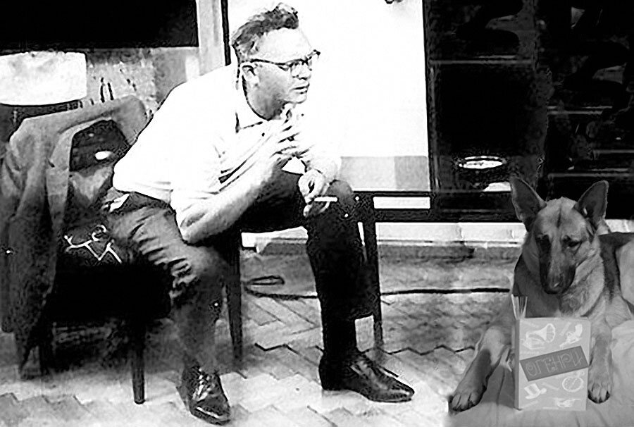 interesnosti.mediasole.ru