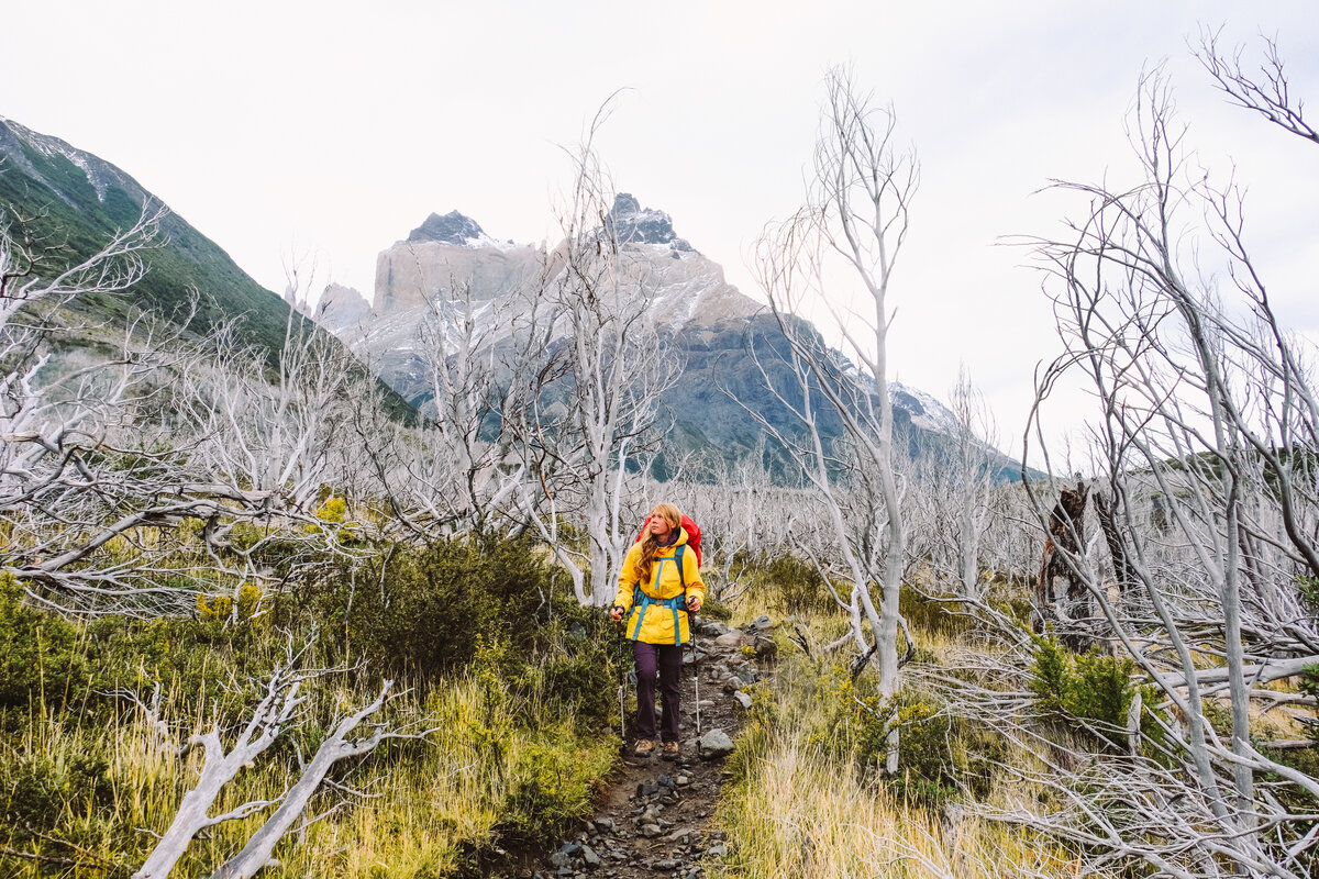 Мой соло-поход по чилийской Патагонии