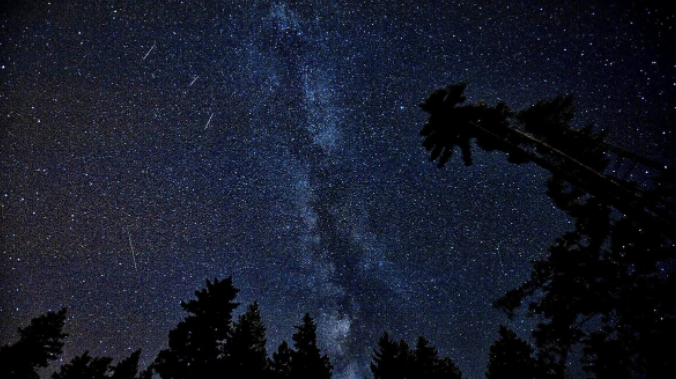Источник фото: Pixabay.com - изображение Craig Letourneau