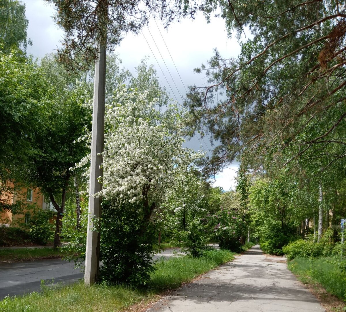 Фото автора