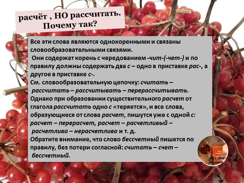 Почему для подсчета общих потерь населения россии