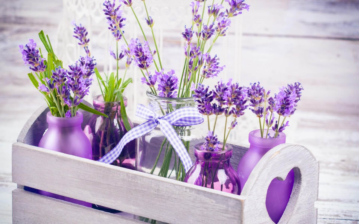 Источник картинки - https://clck.ru/aeLwt