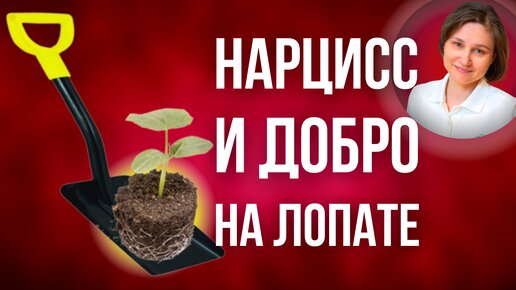 Альтруизм нарцисса. Хитрые манипуляции нарцисса.