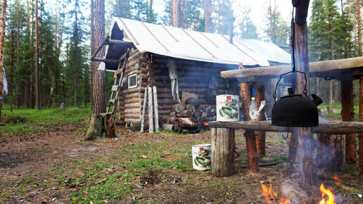 Наедине с тайгой фото избы