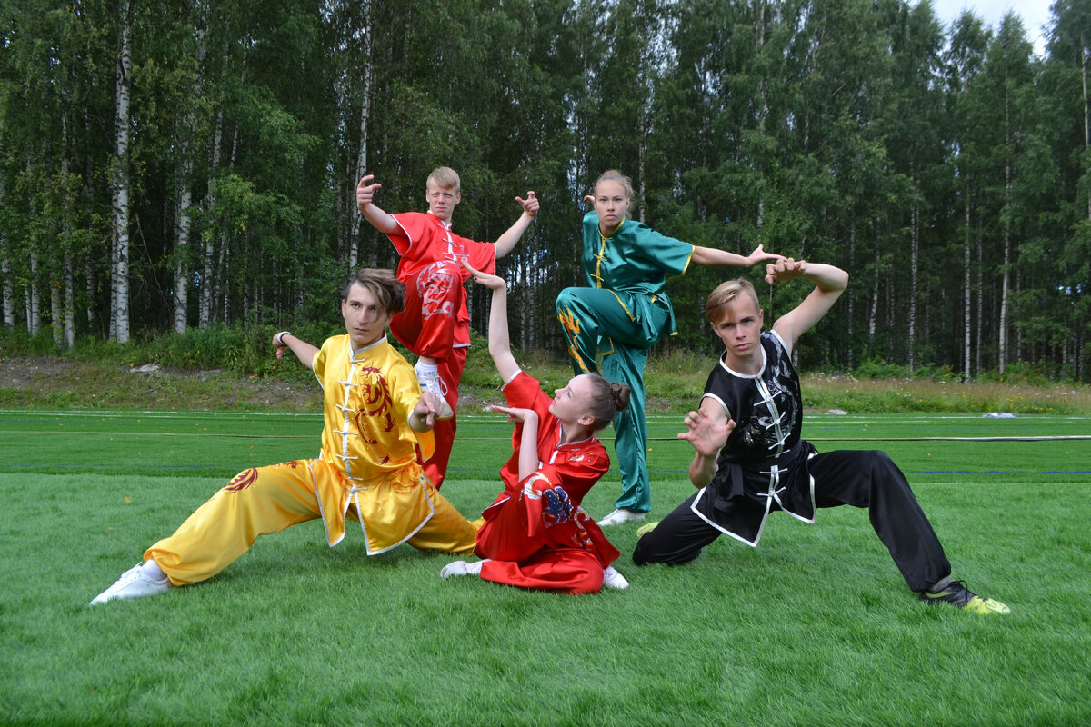 Вот оно бесконечно в своем многообразии современное ушу, в своих замысловатых угрожающих "па". 