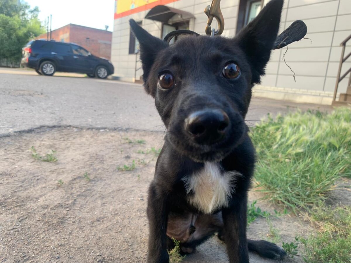 Витас передает всм огромный привет 