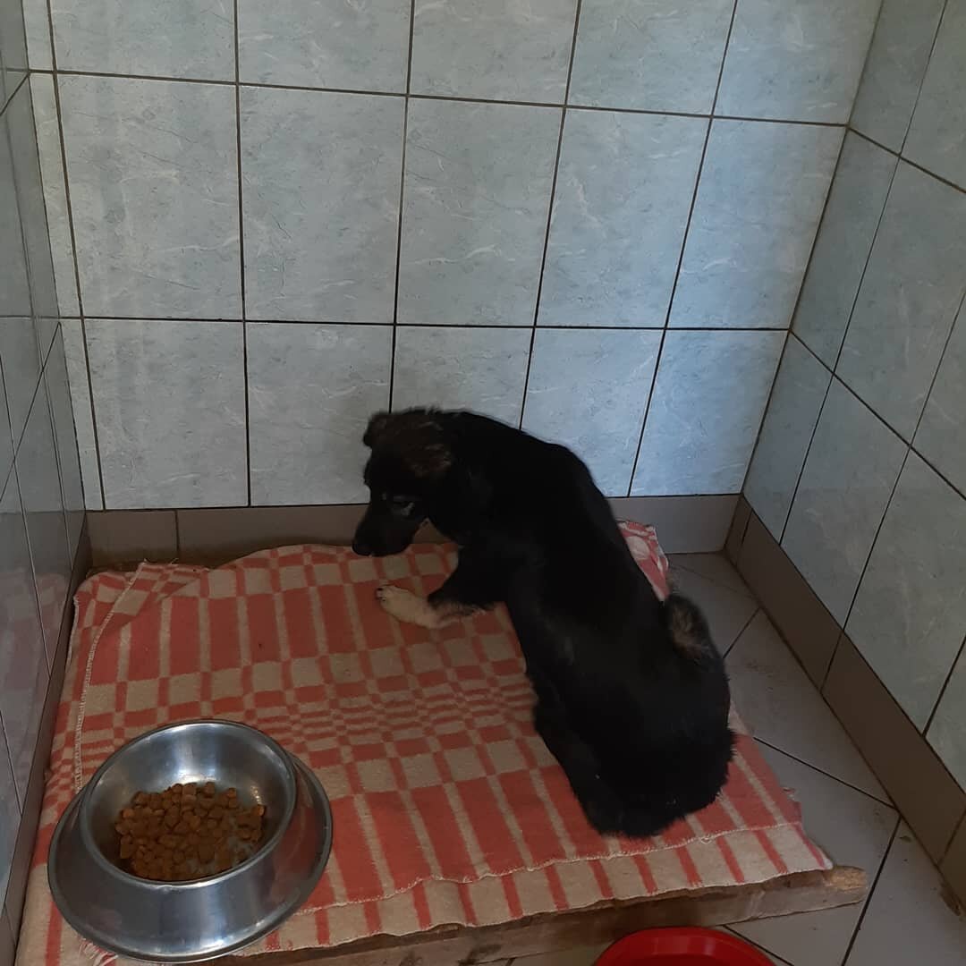 Вот она Зайка