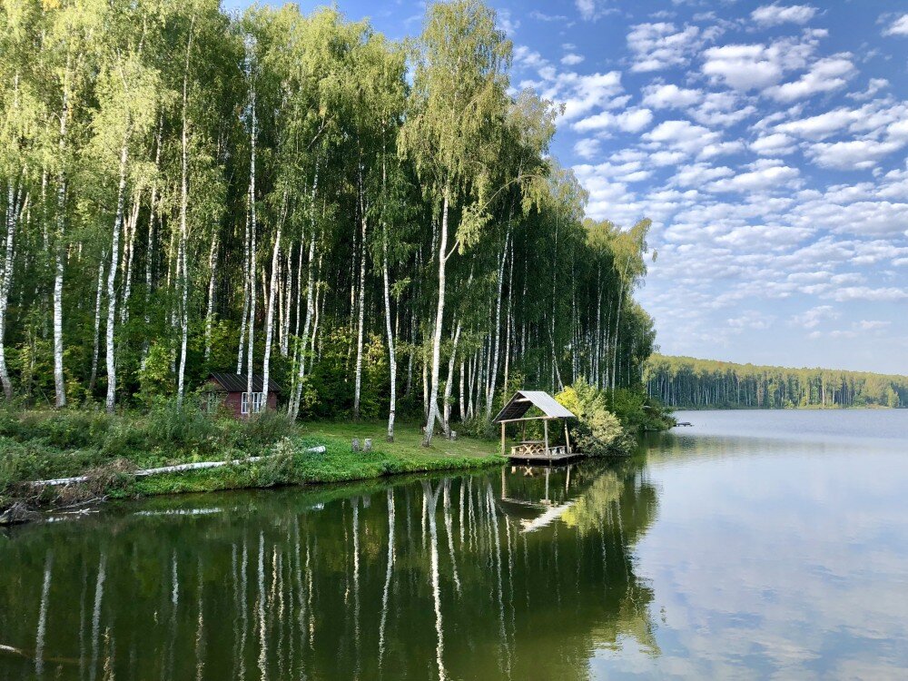 Природа Орловской области. Взято из интернета.