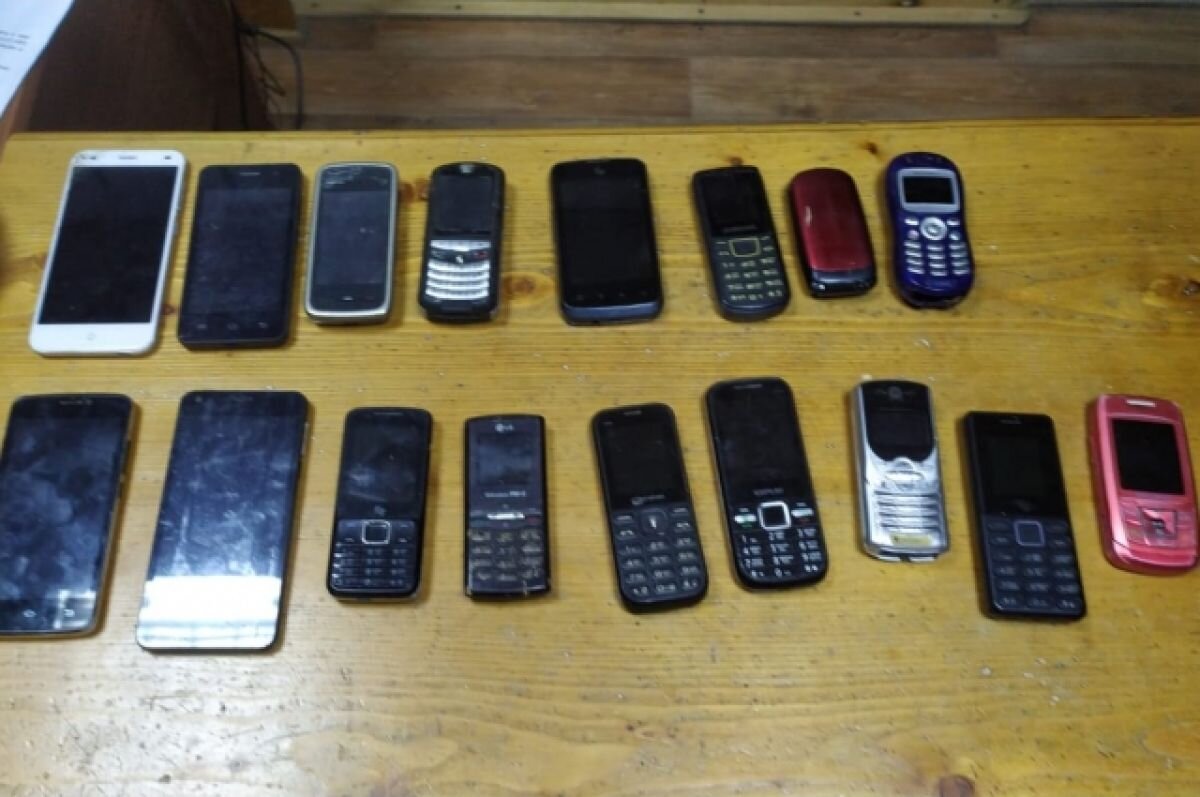    В Прикамье в колонию пытались пронести 17 телефонов, спрятав их в брёвнах