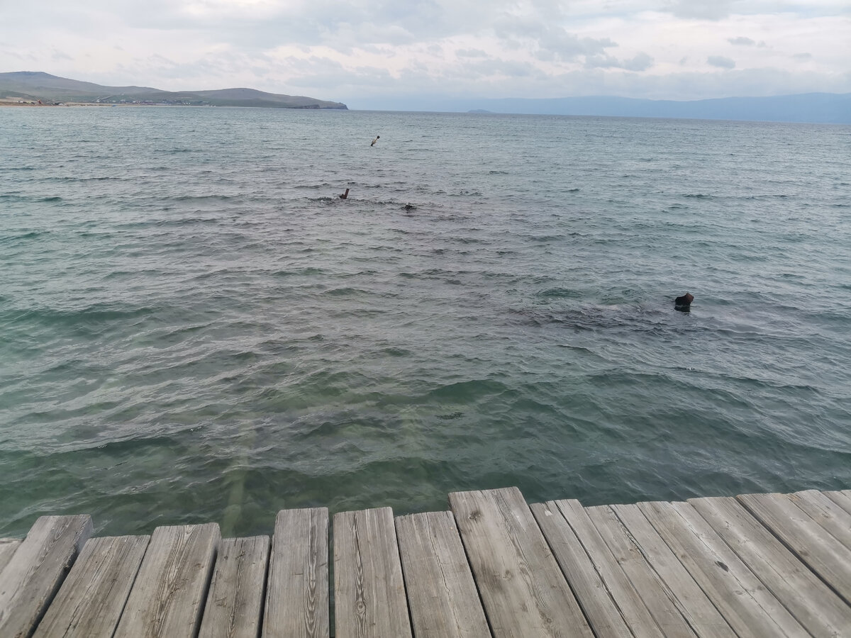 Старая пристань, под водой можно рассмотреть бревна. 